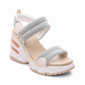 Grey Women Ash Cosmos Platform Wedge Sandals | 875543-660
